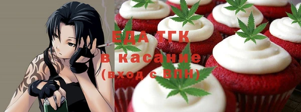 гашик Богородск