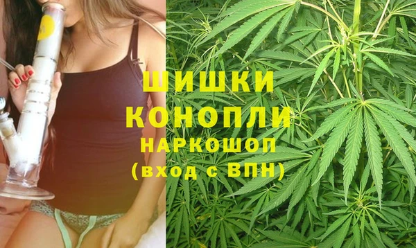 прущие грибы Ельня